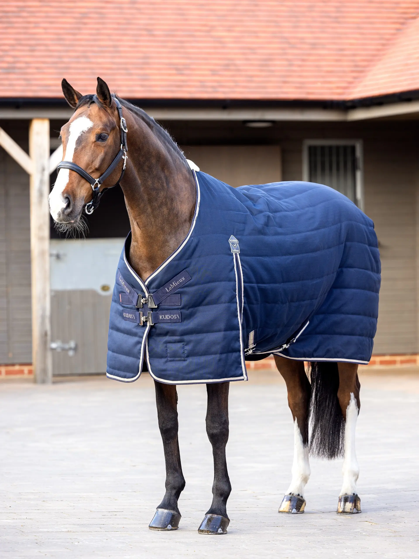 LeMieux Kudos stable rug - 100g