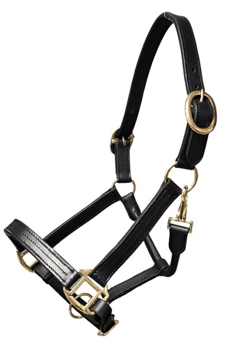 Licol en cuir Ger-ryan
