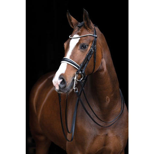 HKM Dina double bridle - Full