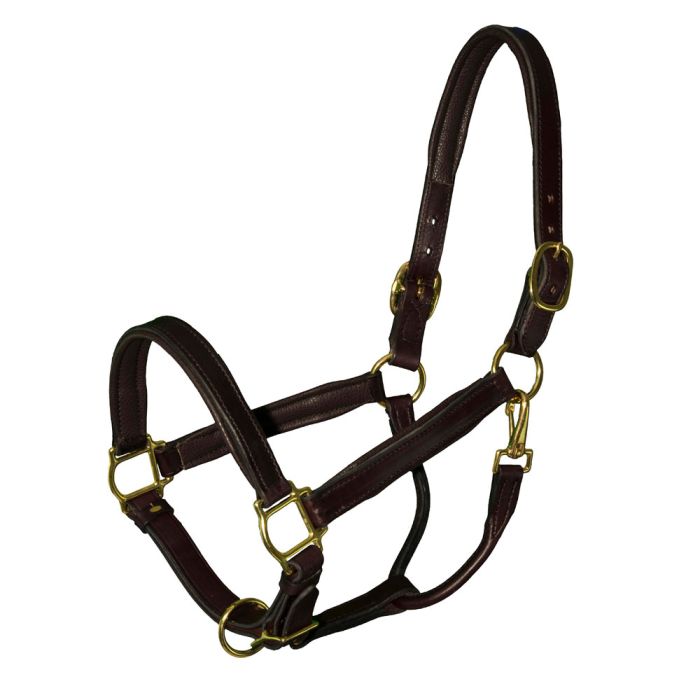Licol Deluxe en cuir Ger-ryan - Tailles poulain et shetland