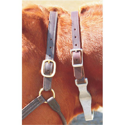 Ger-ryan leather crib collar