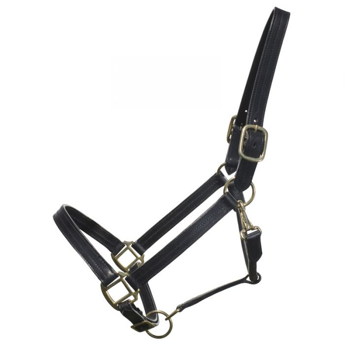 Licol en cuir Ger-ryan