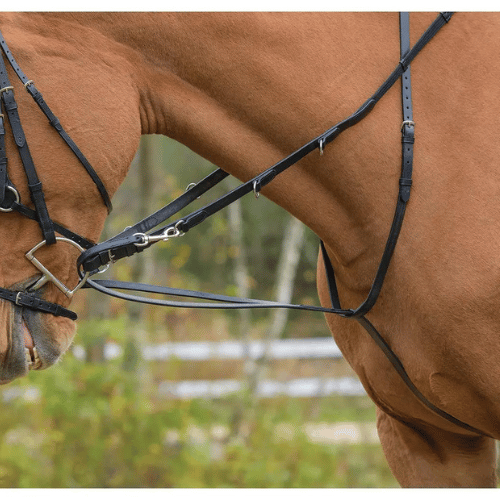 Shires Avignon german martingale