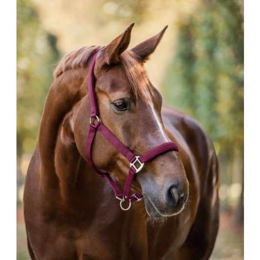 Waldhausen Perlon satin halter