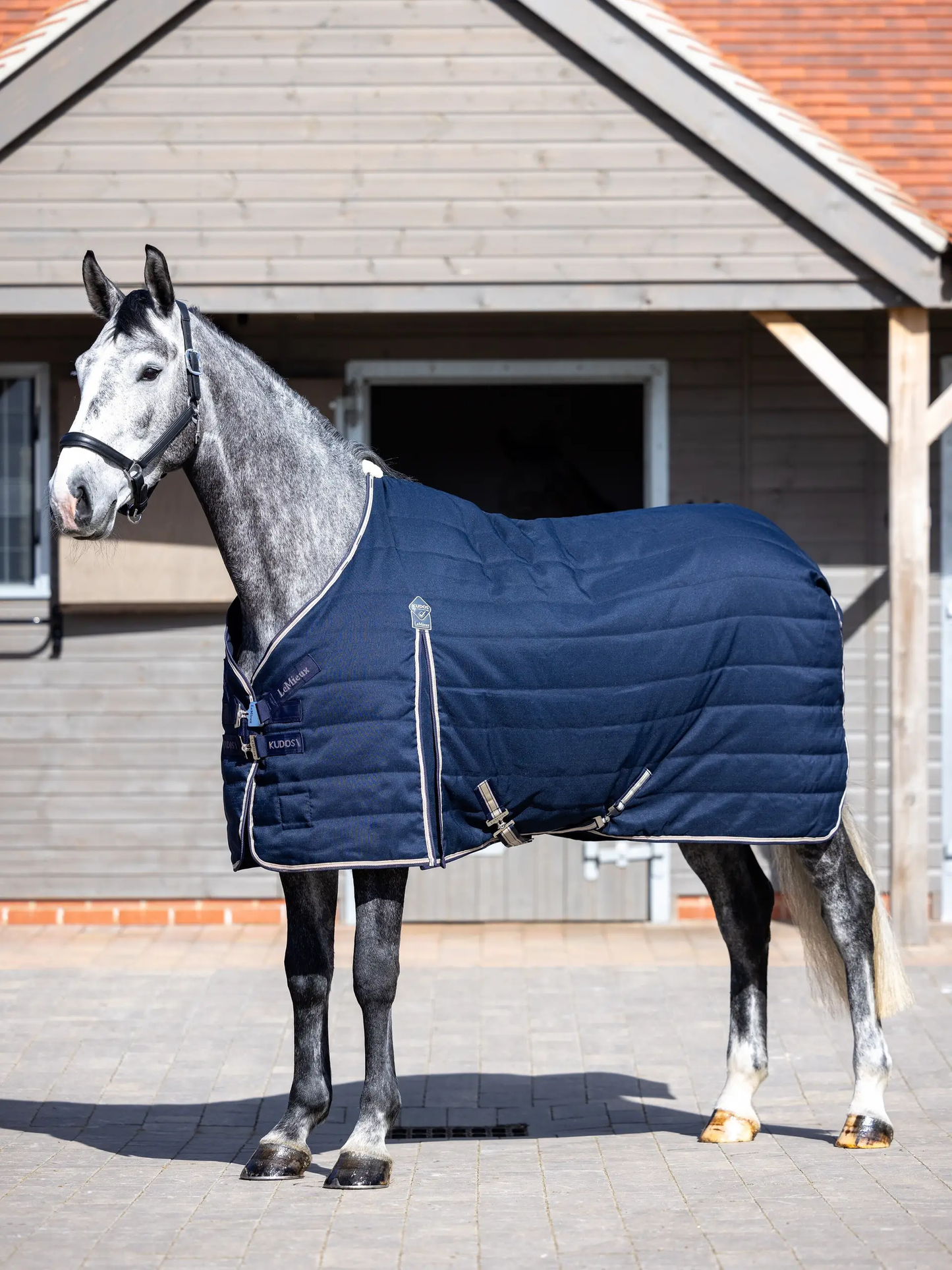 LeMieux Kudos Stable Rug - 50g