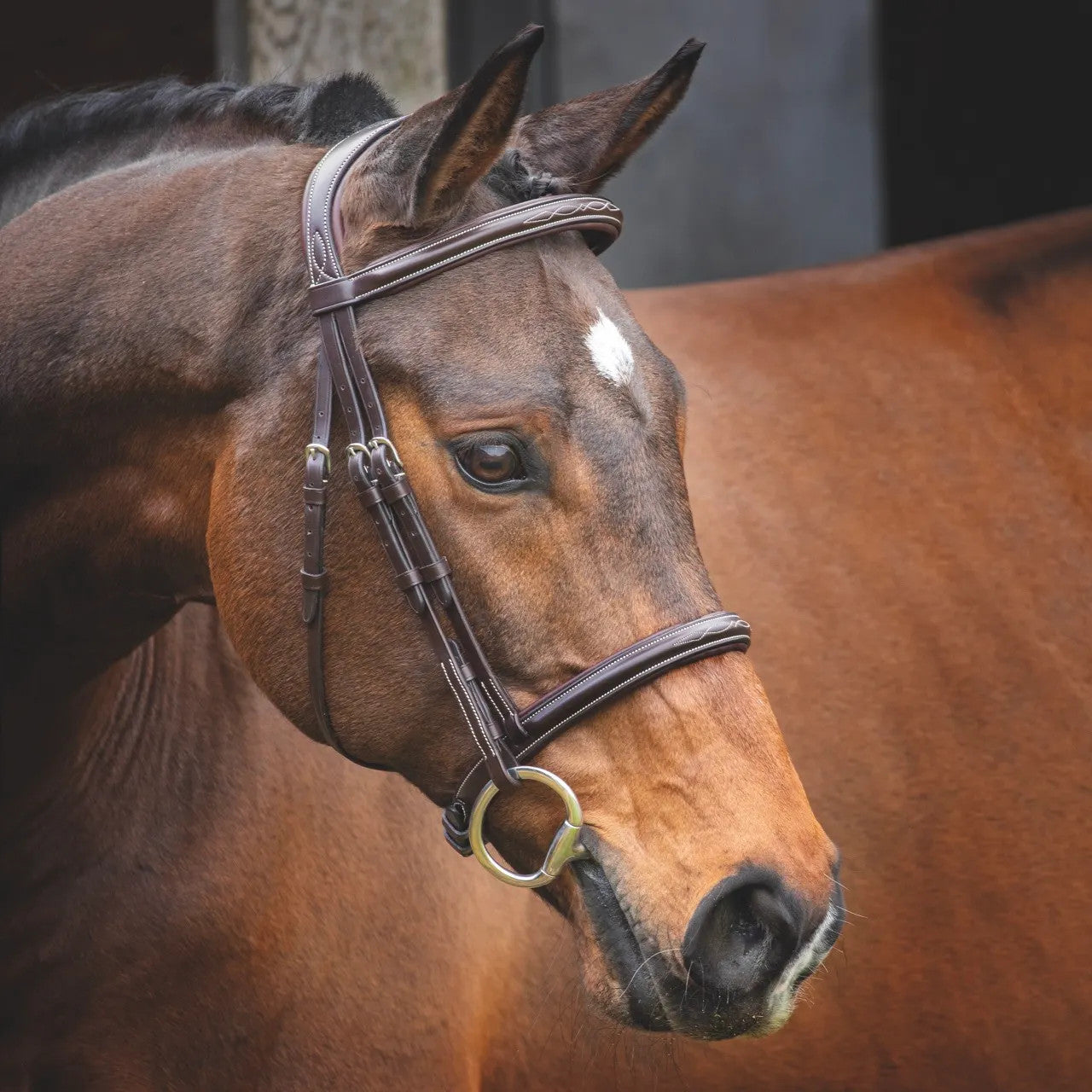 Shires Lusso hunter cavesson bridle - Full