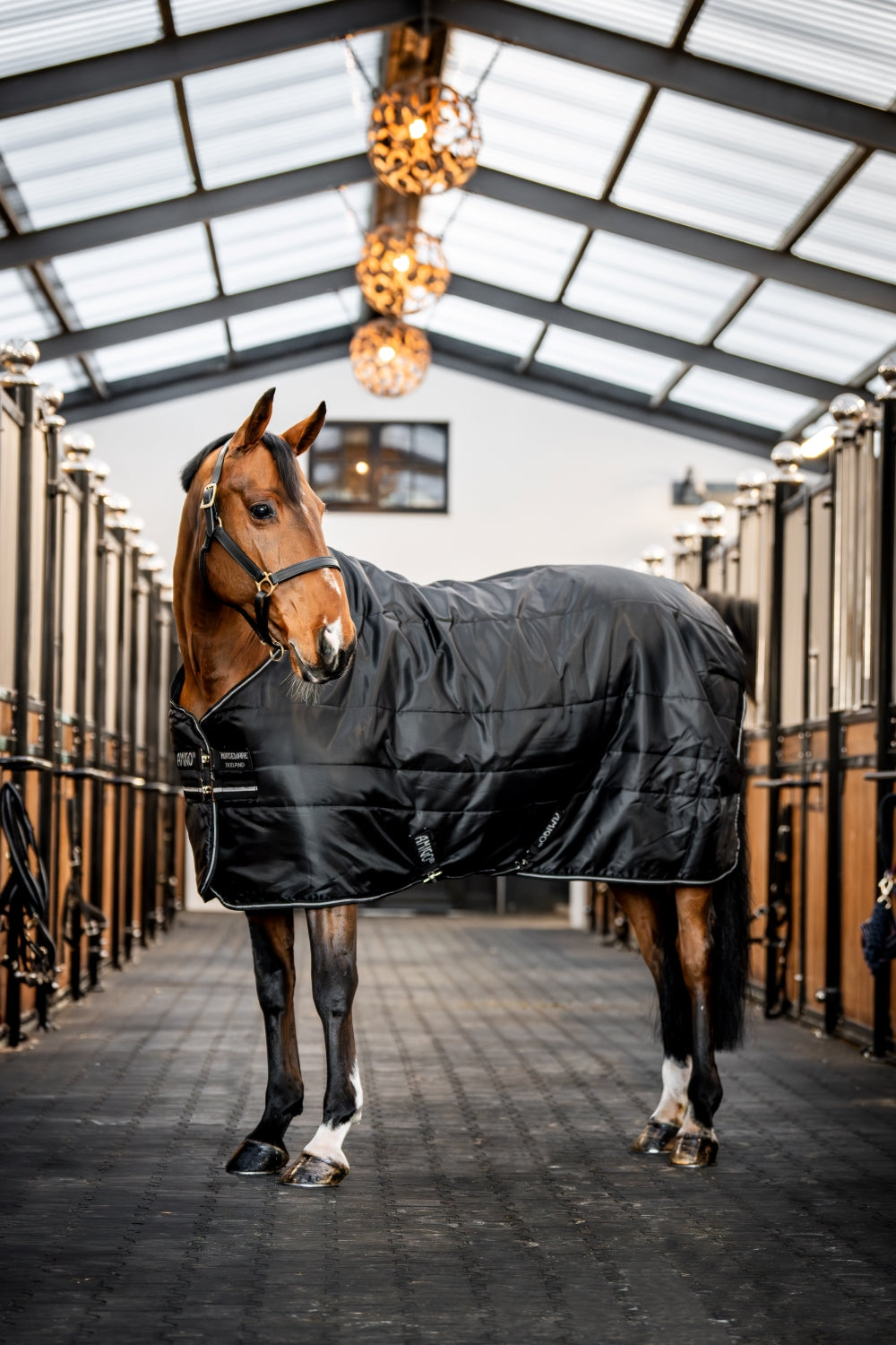 Horseware Amigo insulator lite 100g - (3 colors)