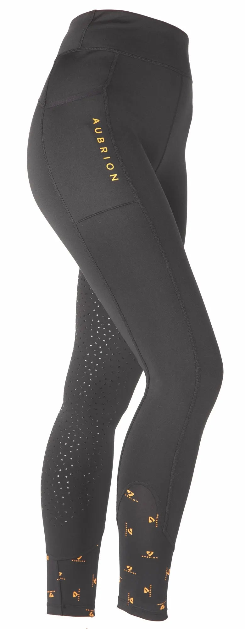 Collants d'équitation d'hiver Aubrion Porter