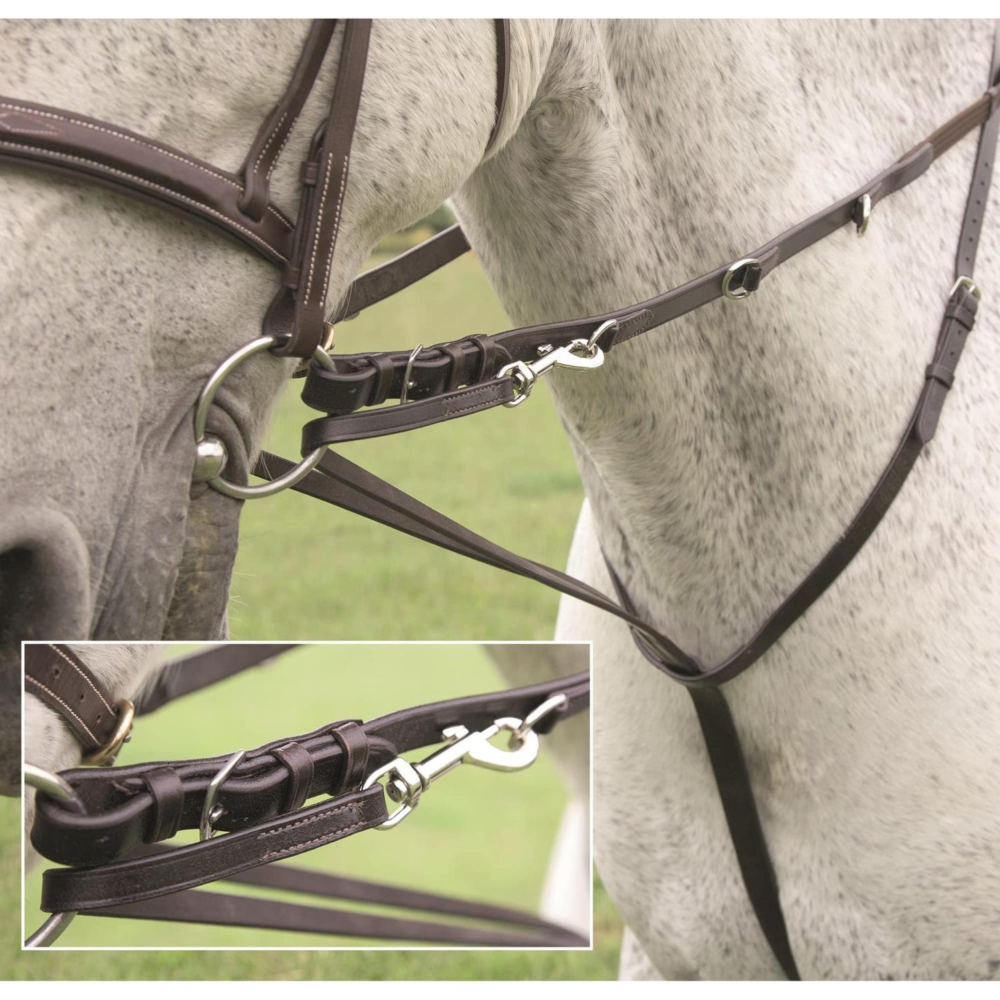Shires Avignon german martingale