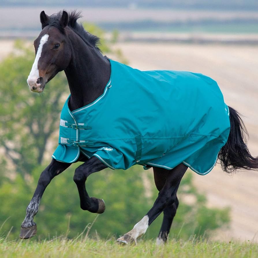 Tempest Plus pony 200g turnout rug