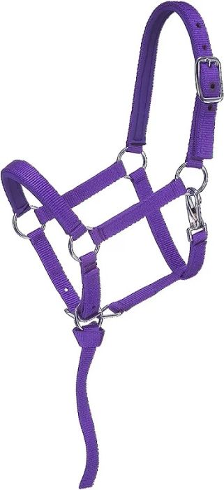 Ger-ryan nylon halter for minis