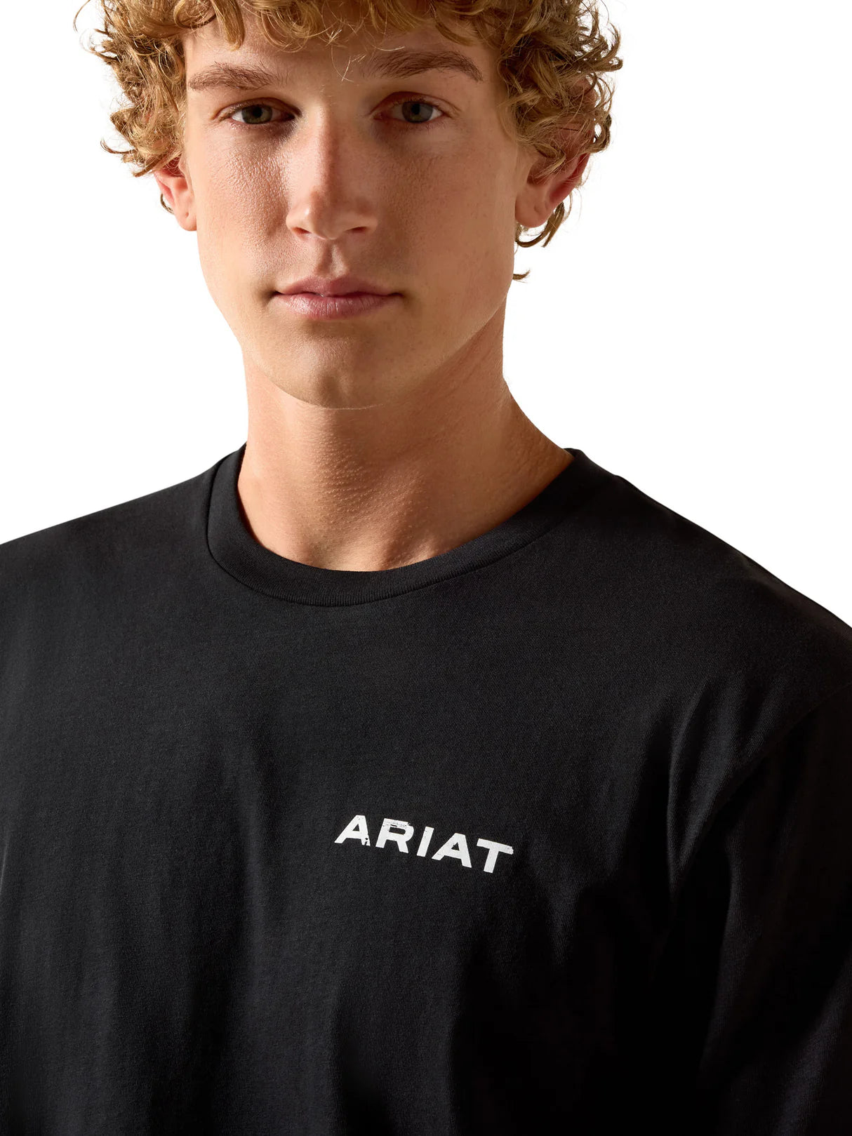 Ariat Stipple steers SS T-Shirt