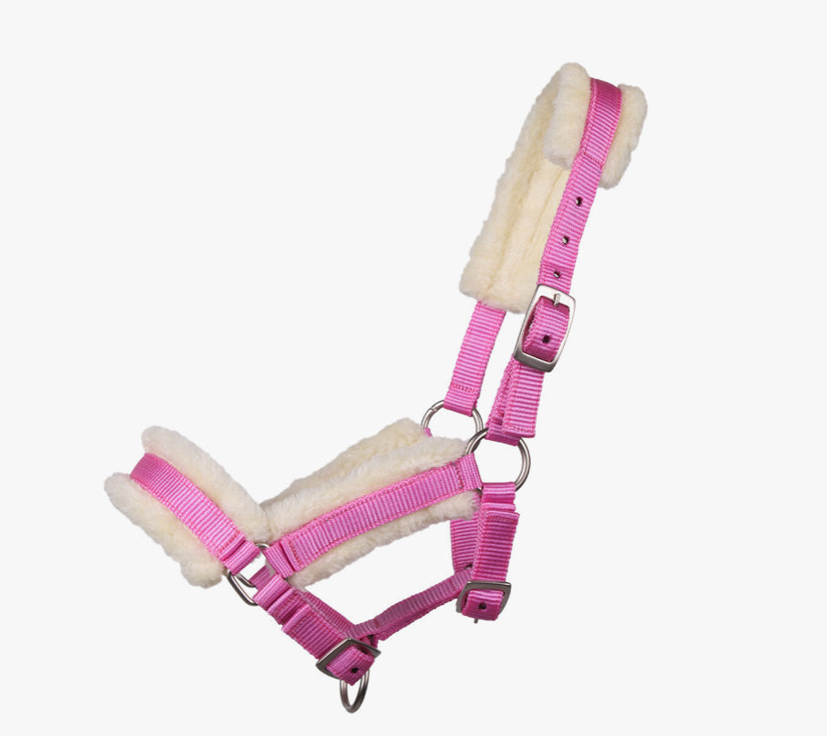 QHP Shetland Foal Fur Halter