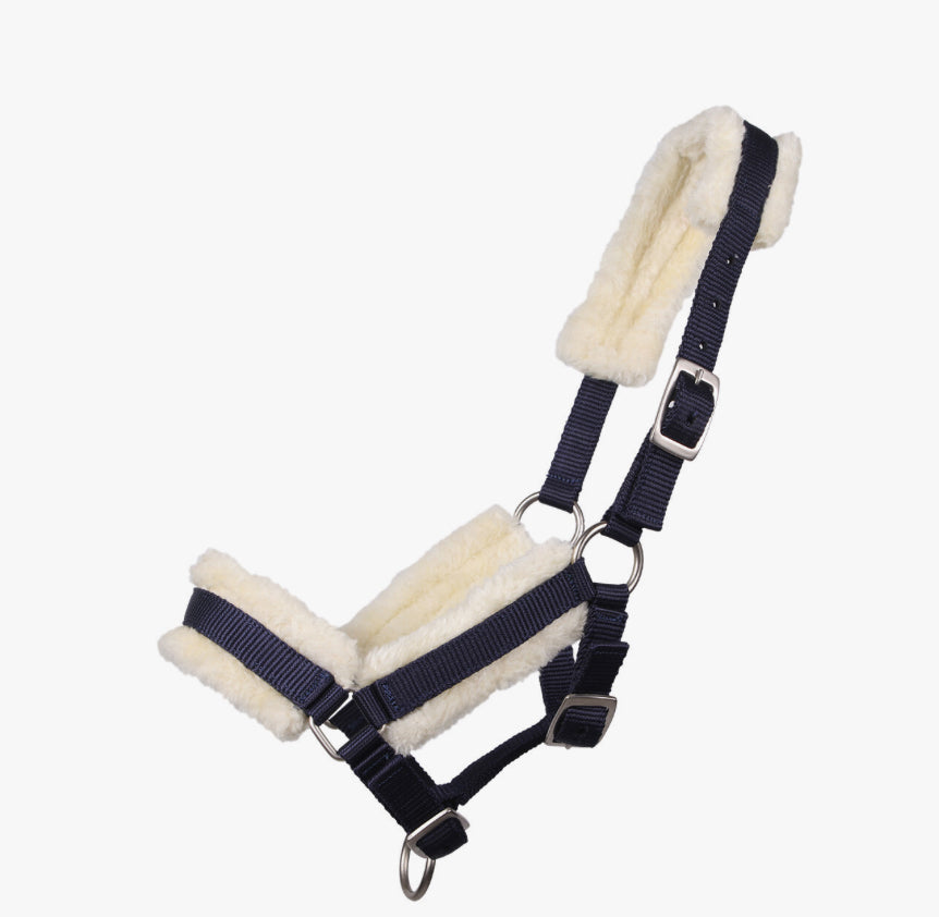 QHP Shetland Foal Fur Halter