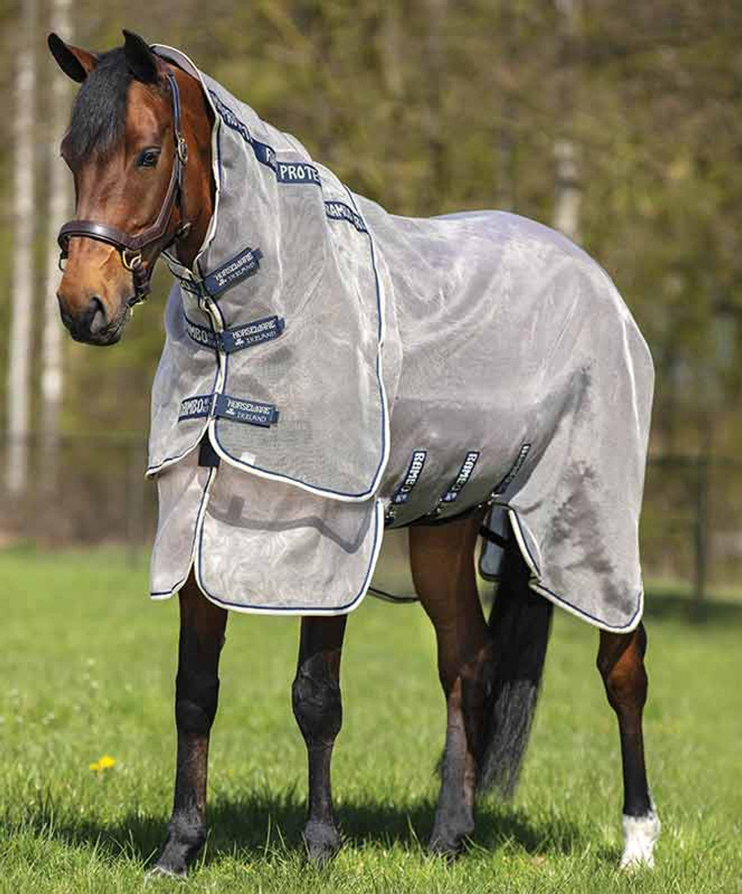 Protecteur HorseWare Ireland Rambo