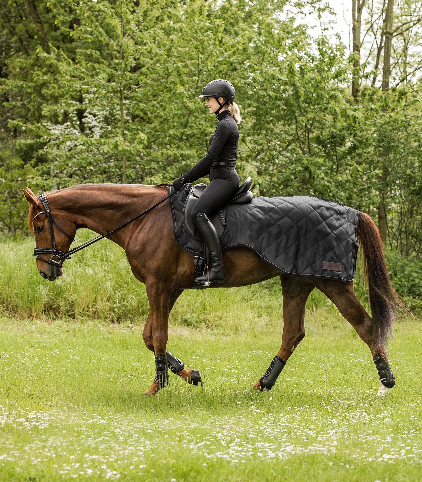 Waldhausen Exclusive quarter sheet