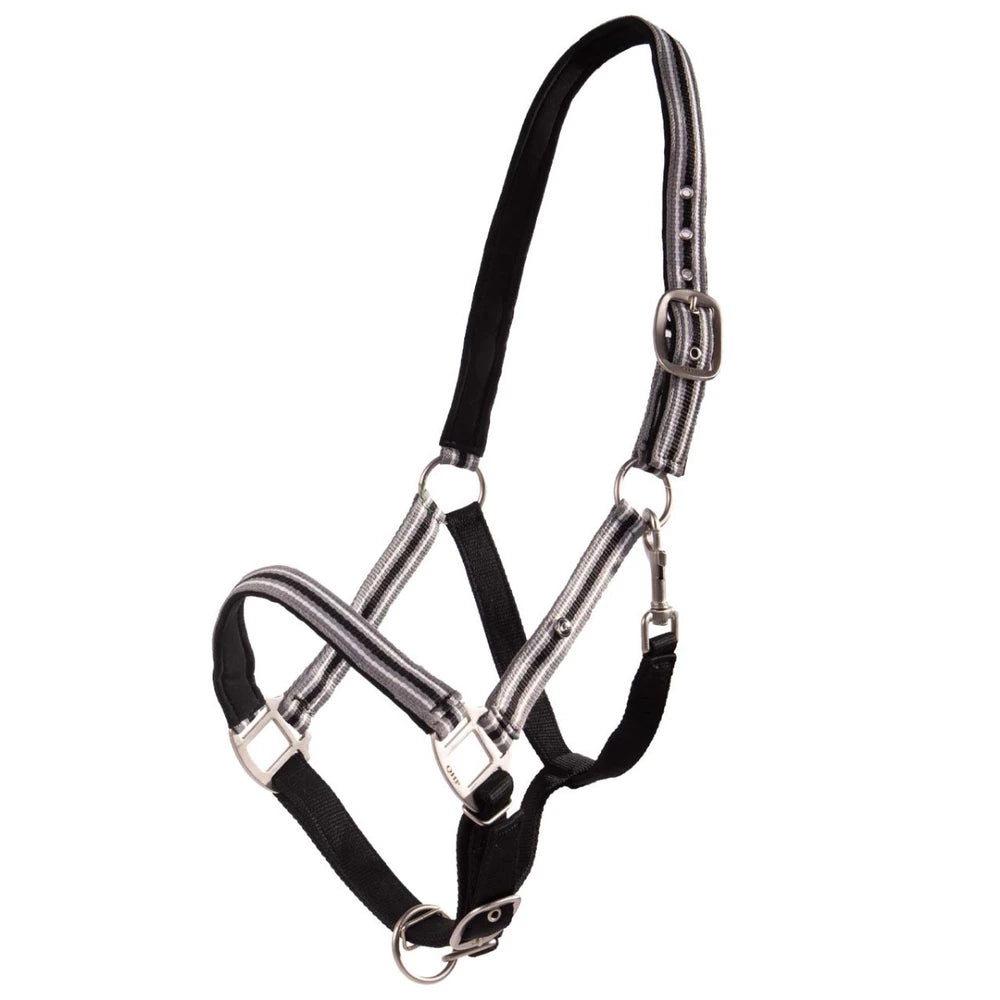 QHP Pony Flore halter