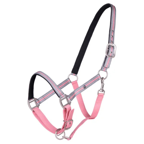 QHP Pony Flore halter