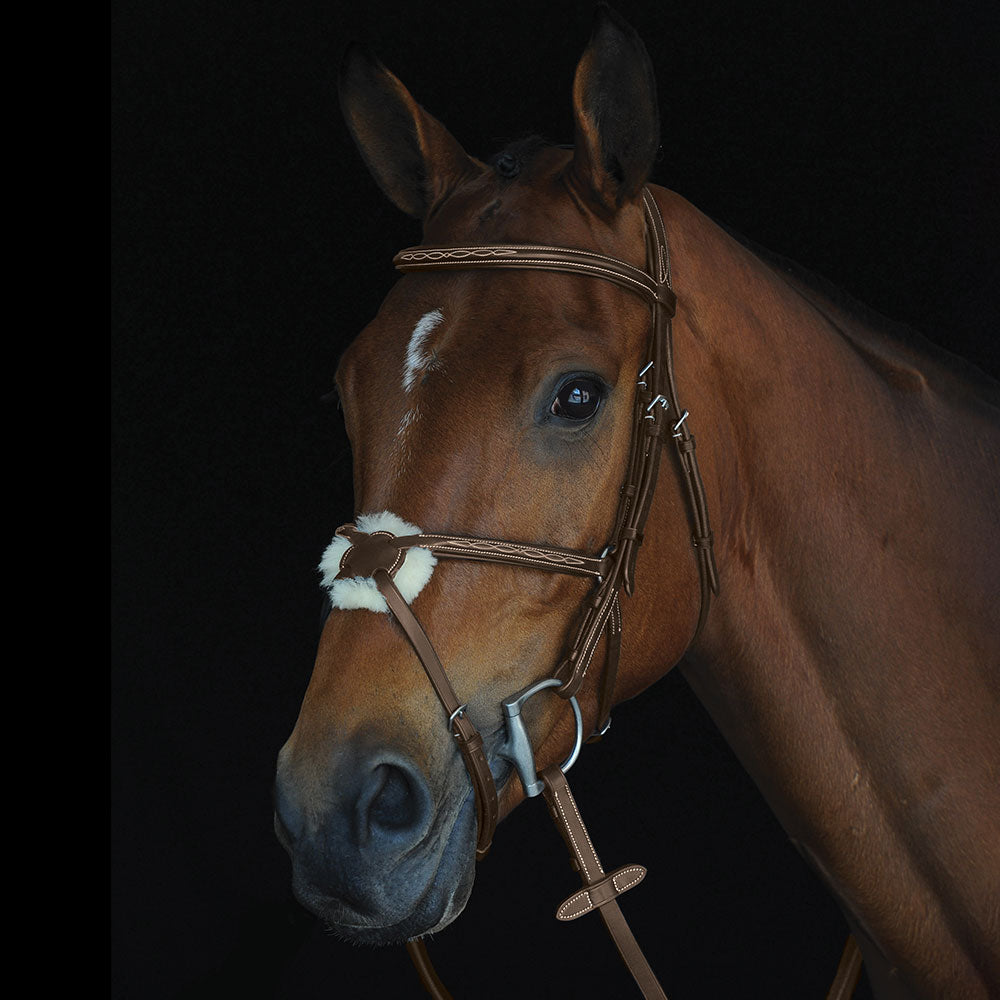 Collegiate Mono Crown Fancy Stitched Figure 8 bridle - Full