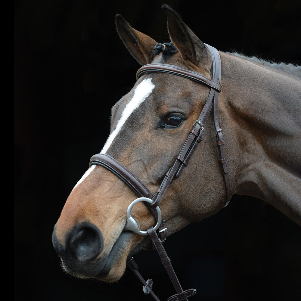 Collegiate Comfort Crown Padded Raised Cavesson bridle