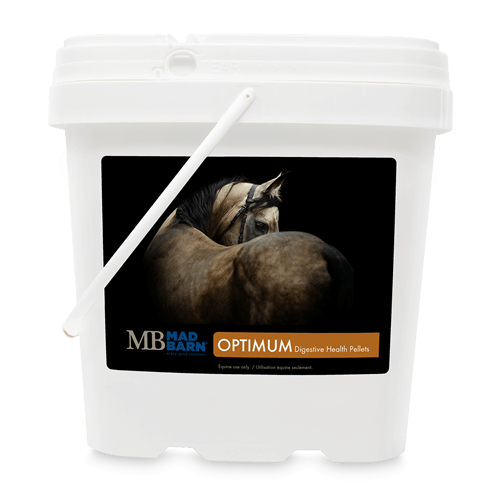 Mad Barn's Equine Nutrition Calculator helps you identify nutritional deficiencies in your horse's diet and formulate a feeding program to better meet their needs.