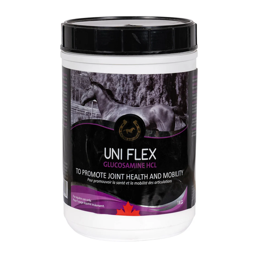 Golden Horseshoe UniFlex is a pure glucosamine supplement that promotes joint health and mobility. UniFlex is an easy to administer concentrated source of cartilage-building glucosamine and can be given individually or in combination with MSM, Devil’s Cla