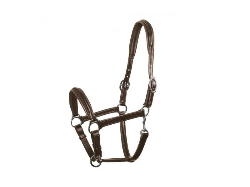 Schockemöhle ULM leather halter