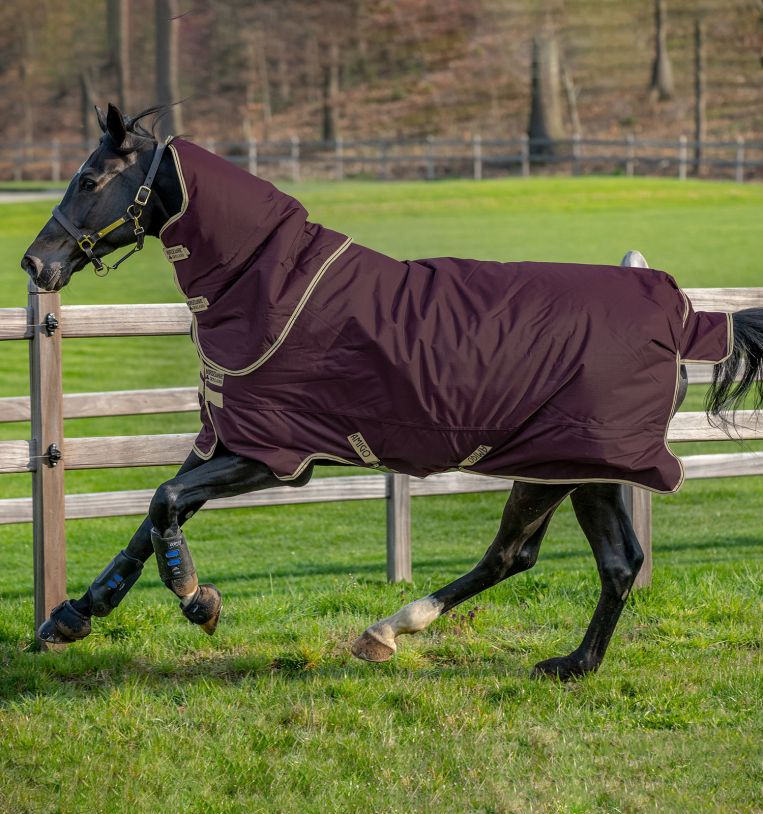 Couverture d'extérieur Horseware Amigo Hero 600D Ripstop Plus Lite 100g