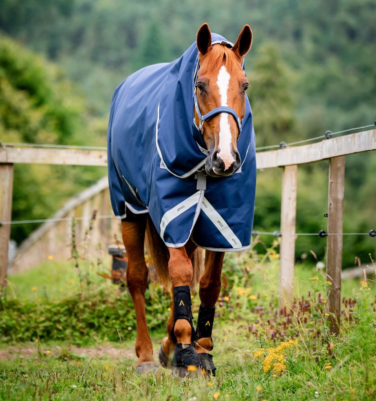 Horseware Amigo Bravo 12 Plus Medium 250g turnout blanket