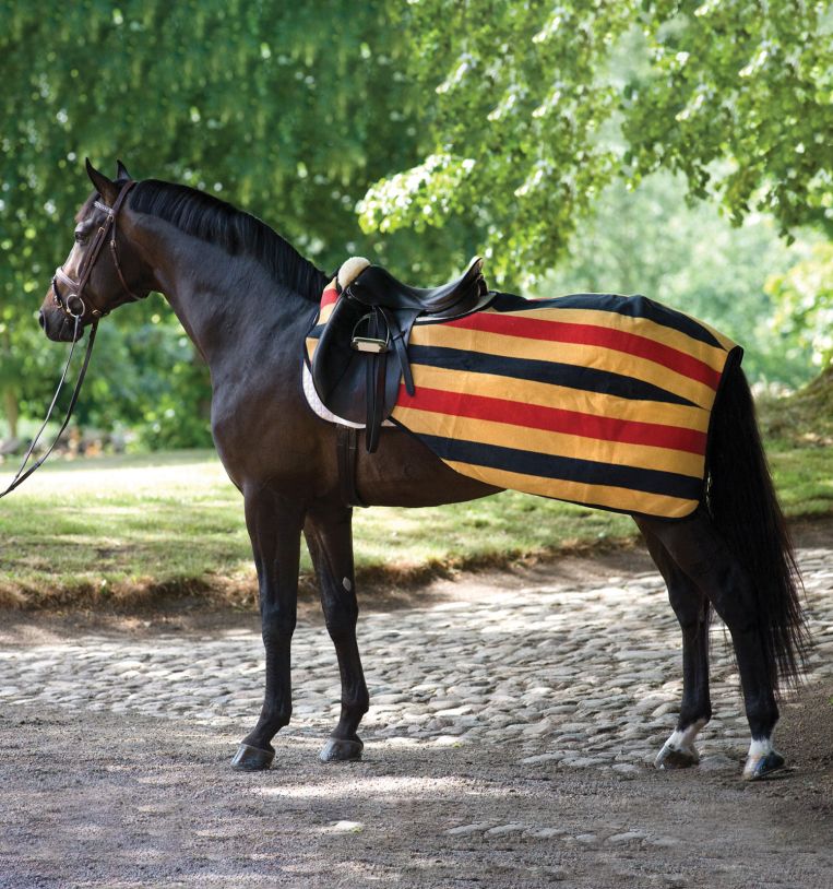 Couverture polaire de compétition Horseware Rambo