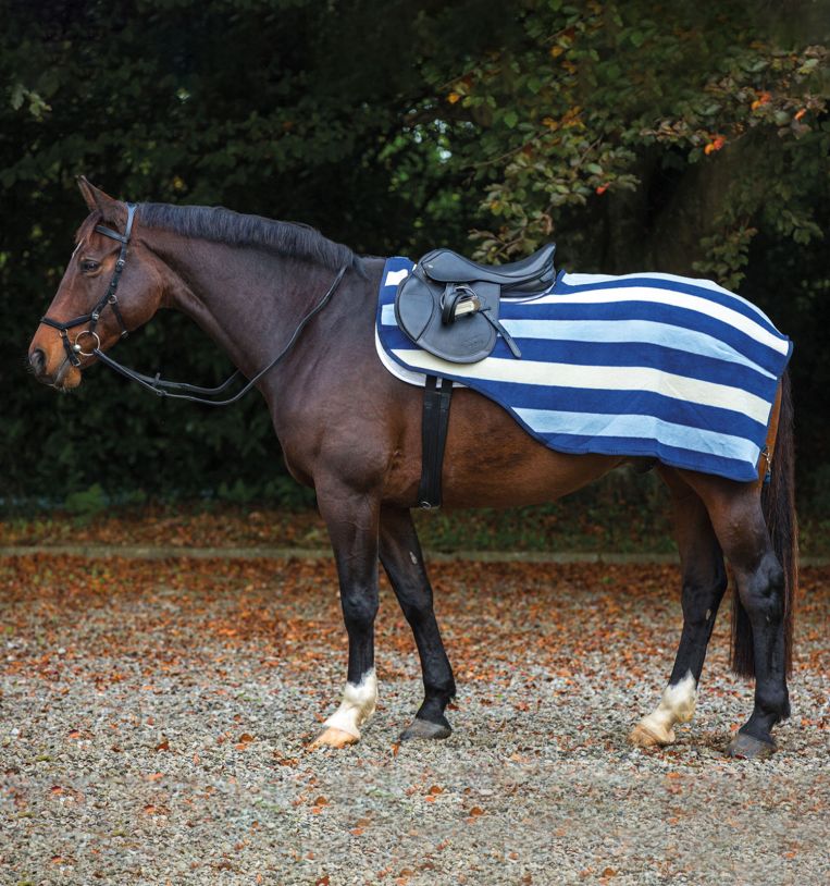 Couverture polaire de compétition Horseware Rambo