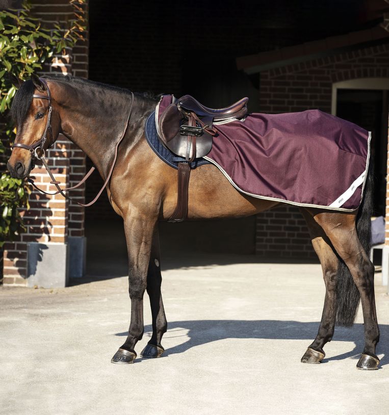 Couvre-rein de compétition Horseware Amigo Ripstop