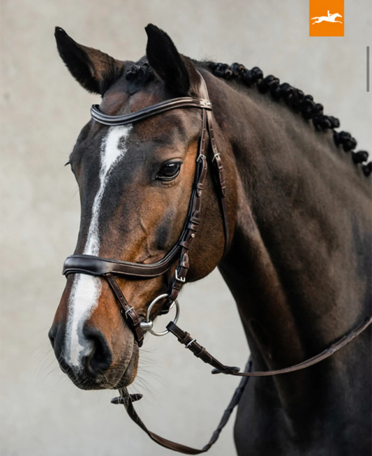 Schockemöhle Equitus Alpha bridle - X-Full
