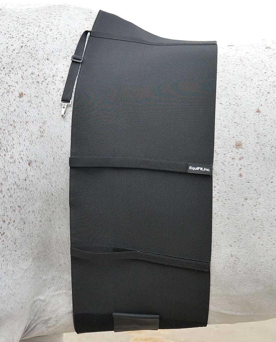 Ceinture ventrale Equifit