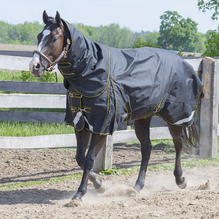 Couverture d'encolure complète Canadian Horseware Maxim Turnout 300g
