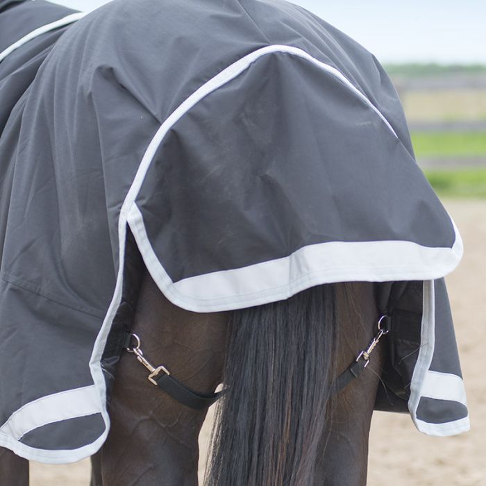 Canadian Horsewear pony turnout rug