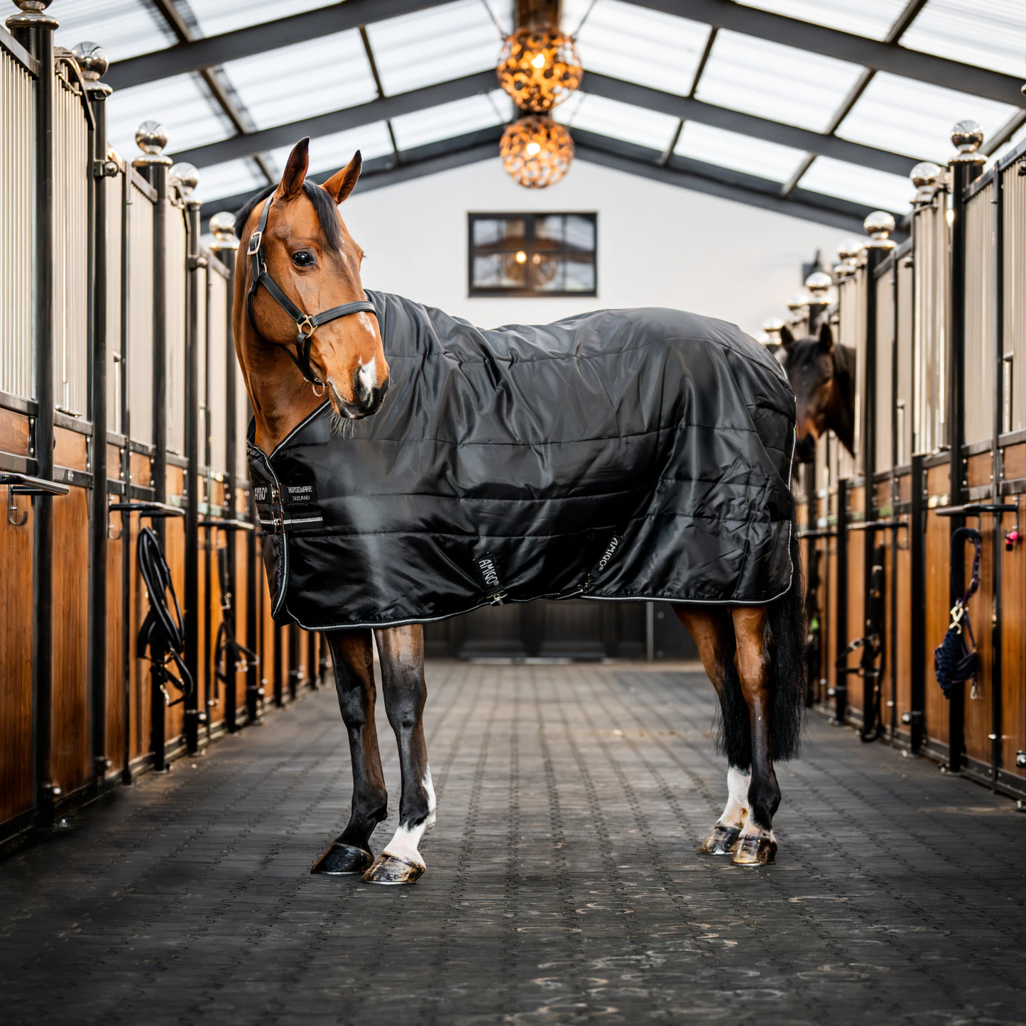 Horseware Amigo Insulator 200g stable blanket - (2 colors)