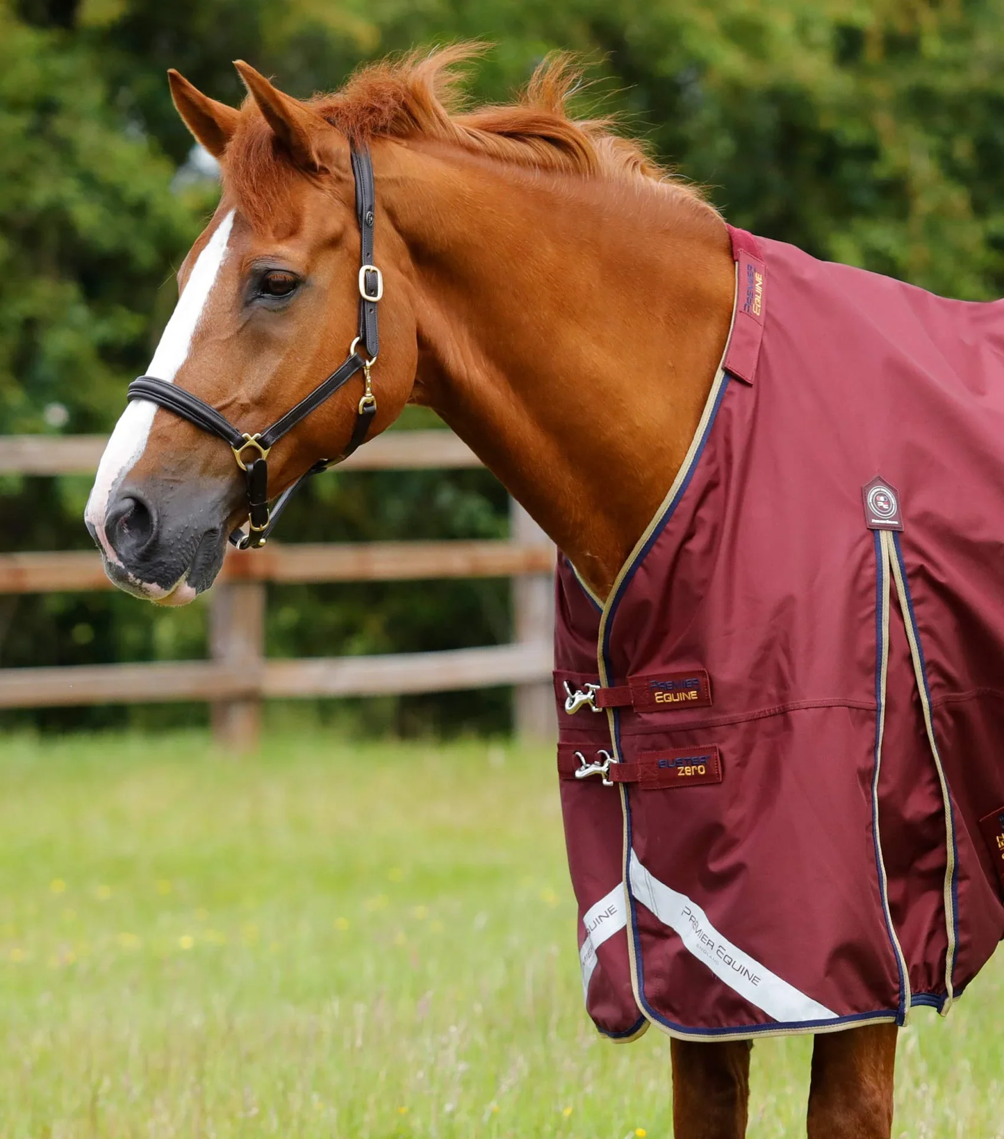 Housse de pluie originale Premier Equine Buster zéro