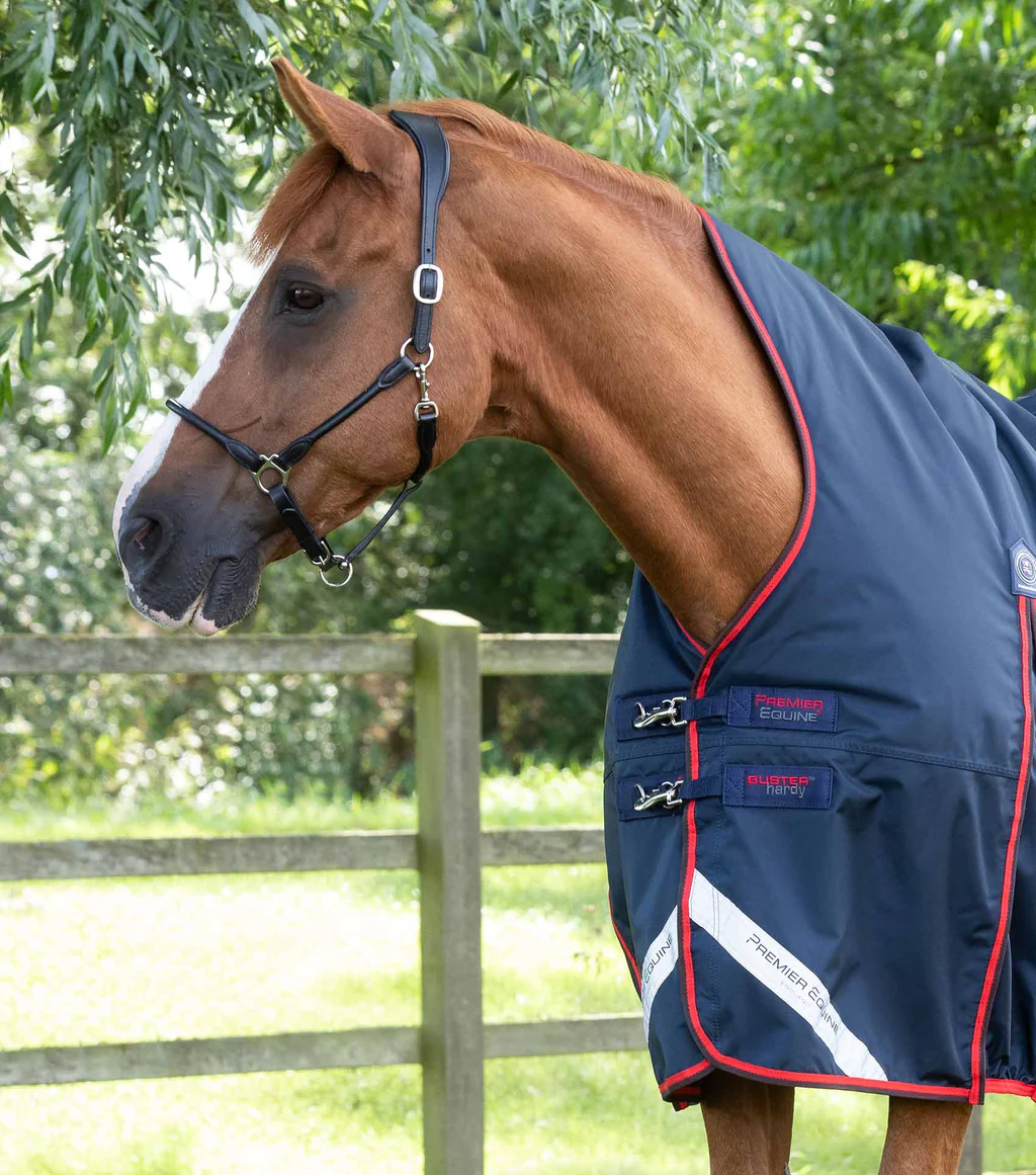 Premier Equine Buster Hardy winter blanket