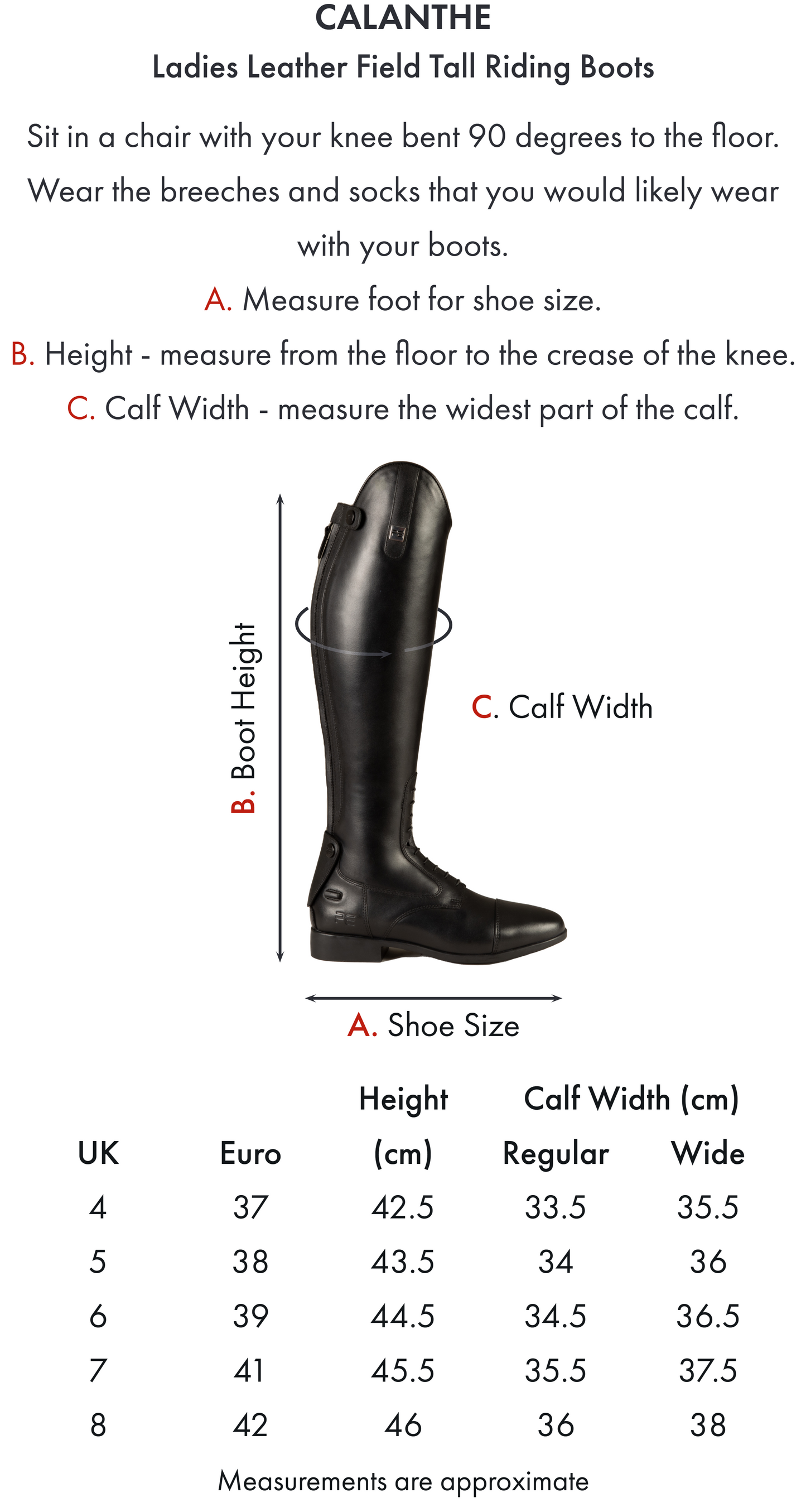 Bottes militaires en cuir Premier Equine Calanthe