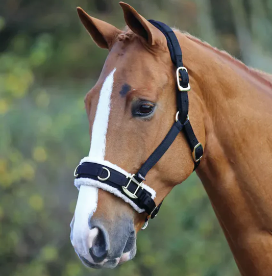 Shires fleeced caveson - Full