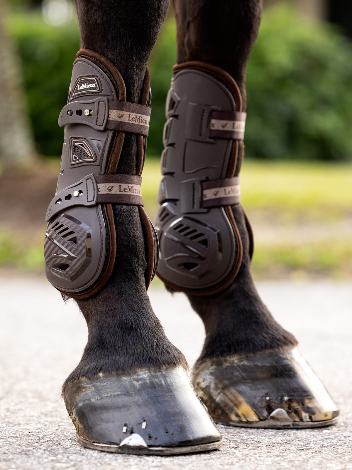 LeMieux Motion Cool tendon boots