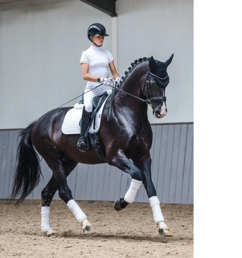 LeMieux cotton dressage pad - White