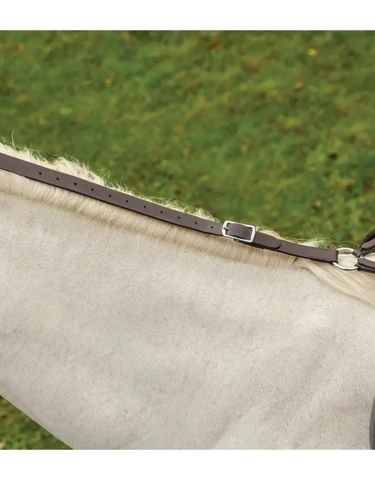 Shires Avignon daisy rein