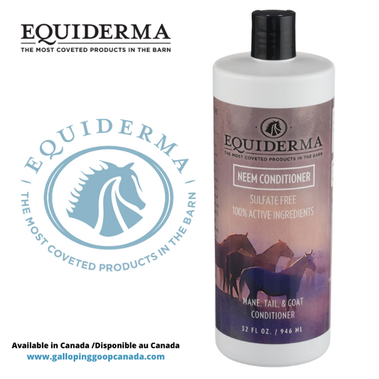 Equiderma neem conditioner