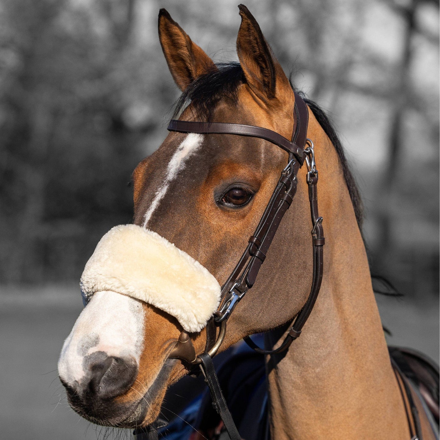 LeMieux lambskin noseband cover - Natural
