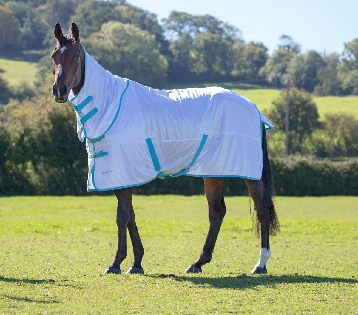 Shires Tempest Fly Sheet