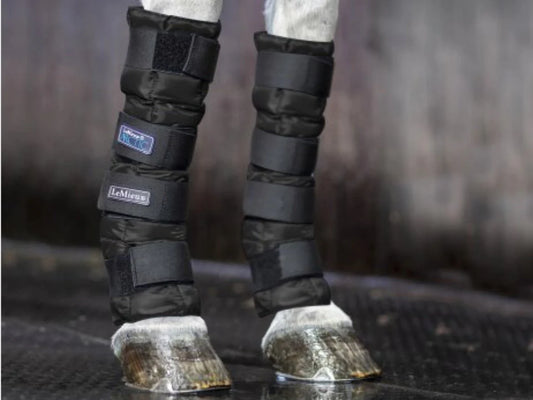 Bottes de glace LeMieux Arctic