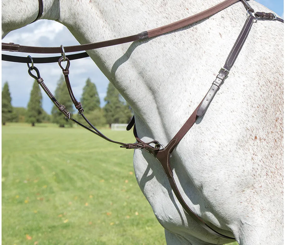 Shires Avignon Three Point Breastplate