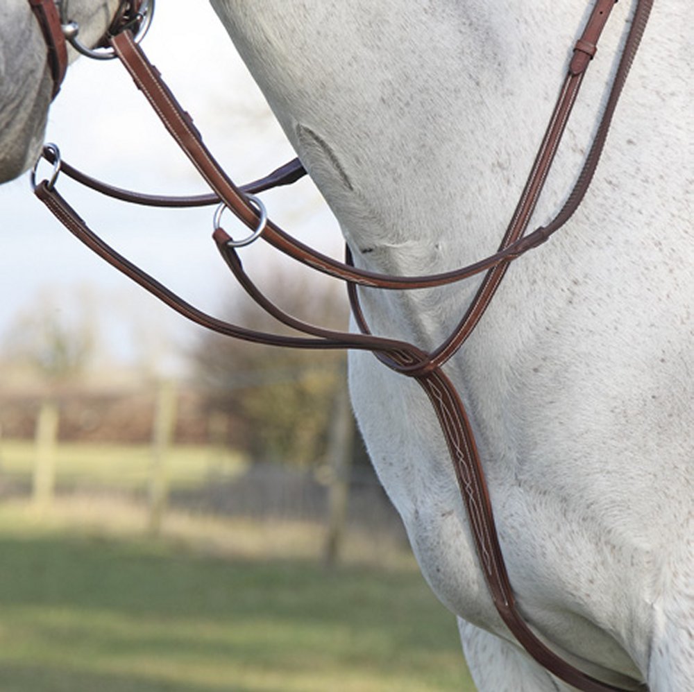 Shires Avignon running martingale